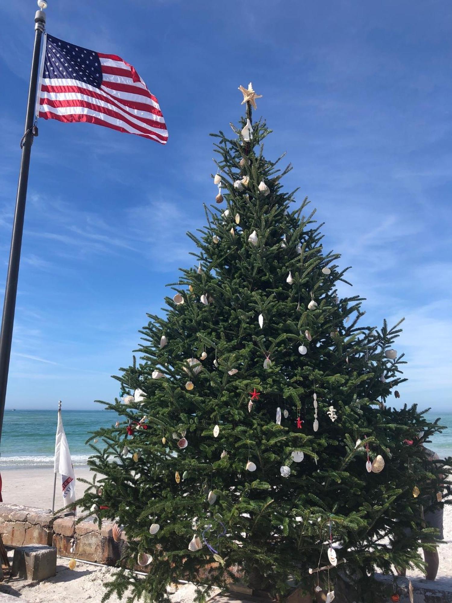 Sarasota -Walk To Siesta Key Beach מראה חיצוני תמונה